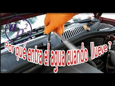Cómo evitar que el agua se acumule en las alfombrillas del copiloto en tu Renault