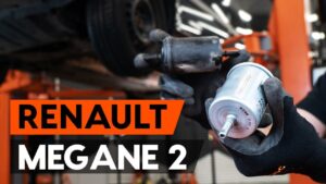 <center>Infonault: Todo lo que necesitas sobre Renault</center>
